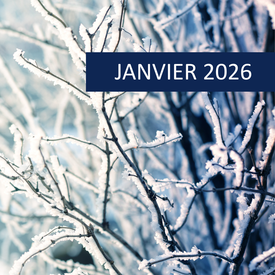 Janvier 26